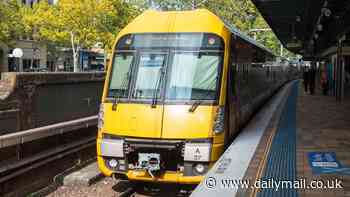 Teenage boy seriously injured after falling while train surfing in Western Sydney