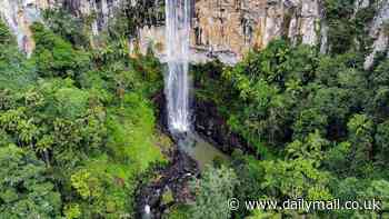 Grisly discovery made at Springbrook National Park on the Gold Coast