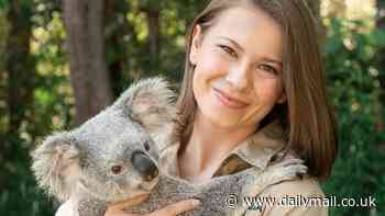 Bindi Irwin set to make a big TV comeback as she heads overseas for US tour... as brother Robert's career goes from strength to strength