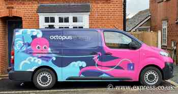 Octopus Energy customers given £145 for making one change