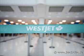 Court orders WestJet to hand over flight attendant harassment files in lawsuit