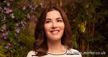 Nigella Lawson's 'incredibly easy' golden soup recipe takes just 25 minutes