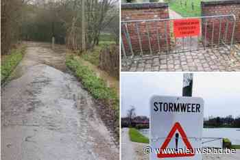 LIVE. Hevige wind van storm Floriane veroorzaakt eerste hinder:  huizen zonder stroom door omgevallen boom, noodnummer geactiveerd