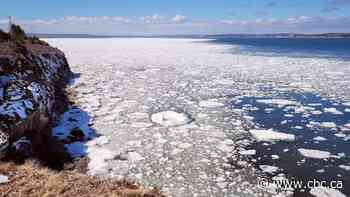 Cape Breton coastal communities concerned as climate change eliminating sea ice in Gulf