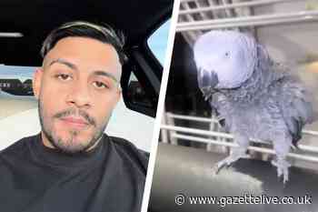 NORTH EAST NEWS: DJ Schak's shock after police's alleged stolen parrot query