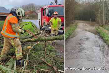 LIVE. Hevige wind van storm Floriane veroorzaakt eerste hinder: kleuterschool preventief ontruimd in Deurne, noodnummer geactiveerd