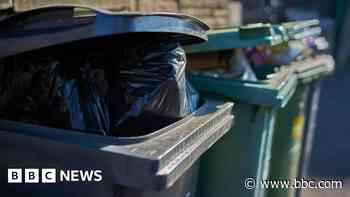 Birmingham bin strikes - what to expect