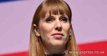 Angela Rayner plan 'will harm jobs and drive people onto benefits'