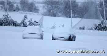 Man in his 20s suffers 'serious injuries' after horror sledging accident