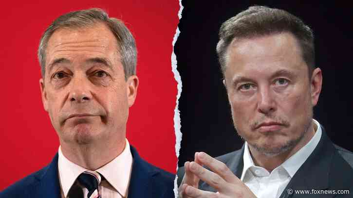 Nigel Farage responds after Elon Musk declares he 'doesn't have what it takes' to lead Reform UK Party