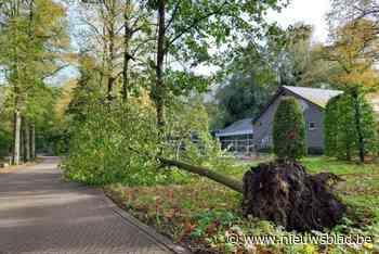 Parken, begraafplaats en Sint-Romboutstoren gesloten voor storm