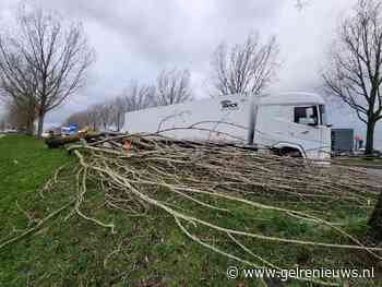 Boom waait om en valt tegen vrachtwagen