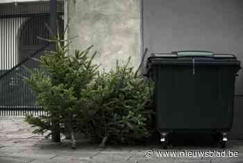 Ophaling kerstbomen: zo raak je van je boom af na de feestdagen