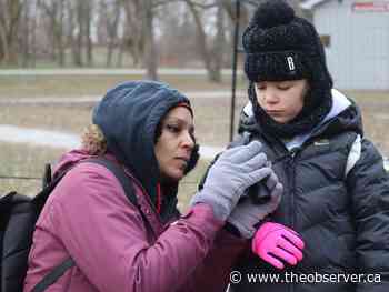 Kids, guides fan out in Sarnia Park for annual bird count