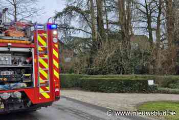 Vallende boom valt net naast woning