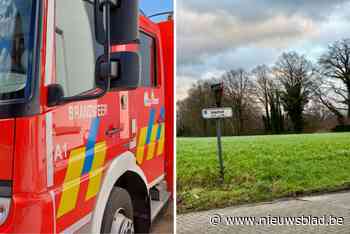 Meer dan zestig meldingen voor stormschade in Mechelse regio