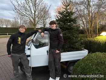 Lucas (17) en Matti (16) halen voor een prikje oude kerstbomen op met bijzondere driewieler: “We maken er compost van”