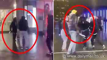 Horrifying moment knife-wielding thugs brawl in packed shopping centre as shocked onlookers and security watch on