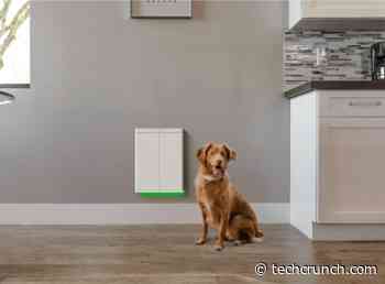 Pawport’s upgraded smart pet door debuts at CES