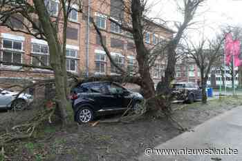 Limburgse brandweerkorpsen krijgen samen 280-tal meldingen voor stormschade binnen