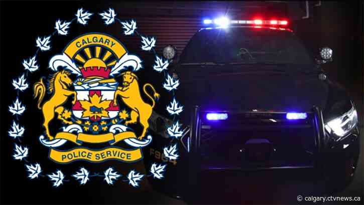 Calgary police issue nine impairment sanctions in December checkstops