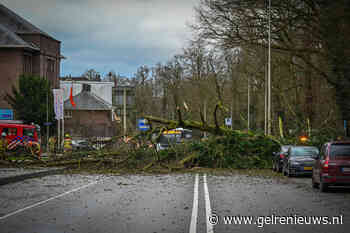 Grote boom valt over de weg, weg afgesloten