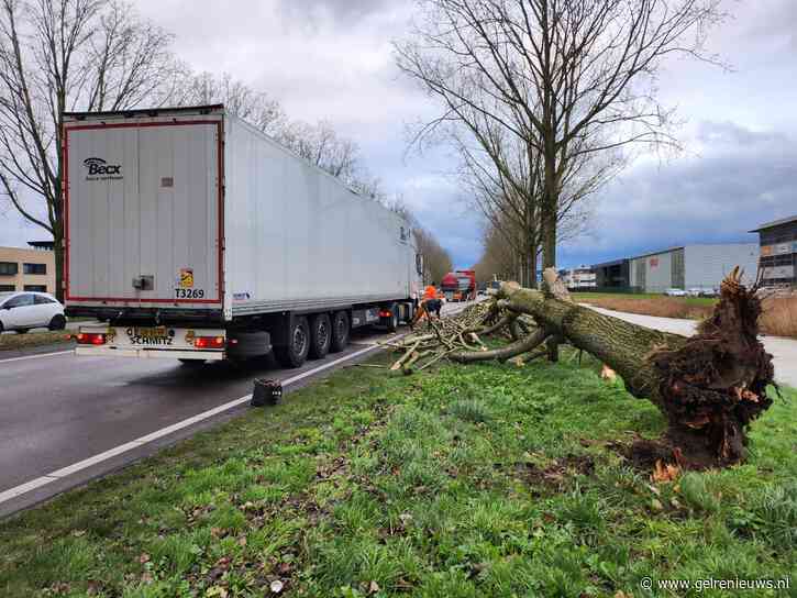 VIDEO: Boom omgewaaid op rijdende vrachtwagen