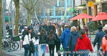 New Look could 'speed up' closure of stores with 90 sites 'at risk'