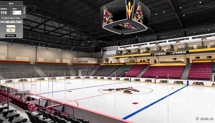 Hockey in Arizona: a committee is established to bring a team back to the desert