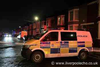 Bedford Road police incident live as forensic officers with torches seen in street