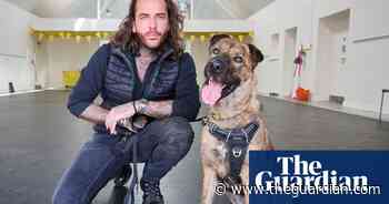 TV tonight: a heart-tugging new series inside a dog rehoming centre