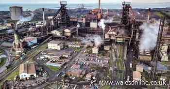 Tata and British Steel bosses to sit on new Government steel council