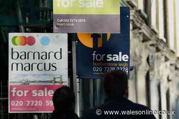 Average house prices in Wales rose nearly 5% month-on-month in December, says Halifax