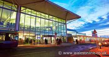 Bristol Airport suspends flights due to snow and ice