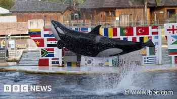 'Humans are all they know' - Fate of whales uncertain as marine zoo shuts