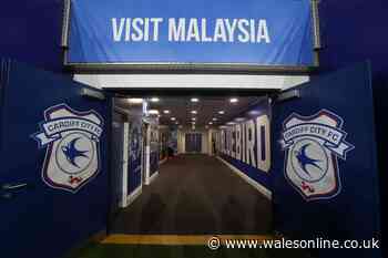 Cardiff City player exit officially confirmed after 'toughest year of his life'