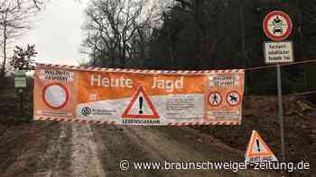 Hier im Harz müssen Autofahrer und Wanderer am Donnerstag aufpassen