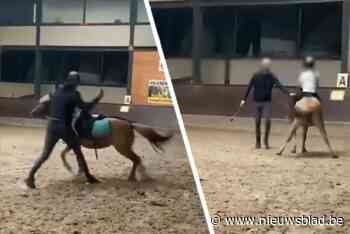 Boete en verbod op dieren houden gevraagd voor mishandelen Peerse pony