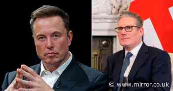 Musk unmasked: 5 of Elon Musk's biggest lies and baffling views about Britain