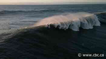 Rogue waves are little known and can kill. Here's why they're so dangerous