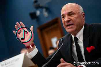 Is 'Shark Tank's Kevin O'Leary Going to Save TikTok Before Ban?