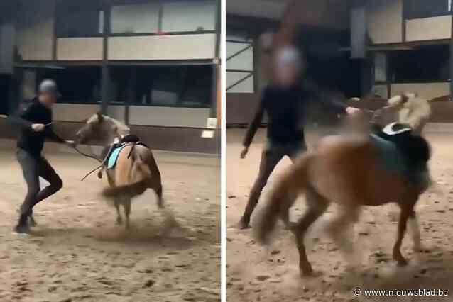 Lesgever die pony mishandelde daagt niet op in rechtbank, boete en verbod op dieren houden gevraagd: “Veelvuldig op de pony slaan is onaanvaardbaar”