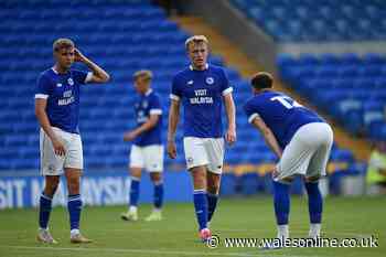 Two clubs in battle for Cardiff City player as midfielder told to learn from 'tough experience'