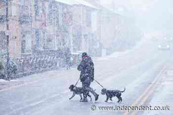 UK weather live: Snow warning for London as UK braces for temperatures to plummet to -20C