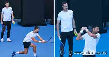 Andy Murray begins coaching Novak Djokovic as he aims to extend Australian Open record