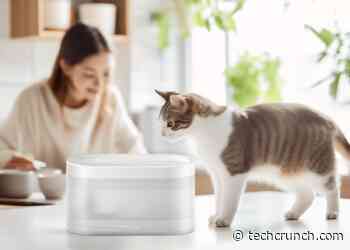 CES 2025: Petcube’s new water fountain aims to protect your cat’s urinary health