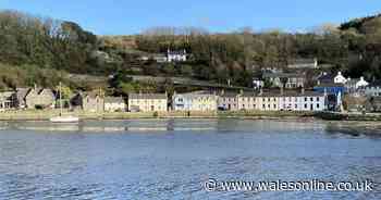 A cottage is for sale in one of the best seaside locations you can imagine