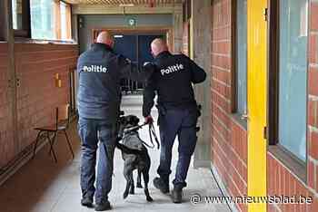 “Wat rijmt op politie?” Zone Carma houdt gedichtenwedstrijd in basisscholen