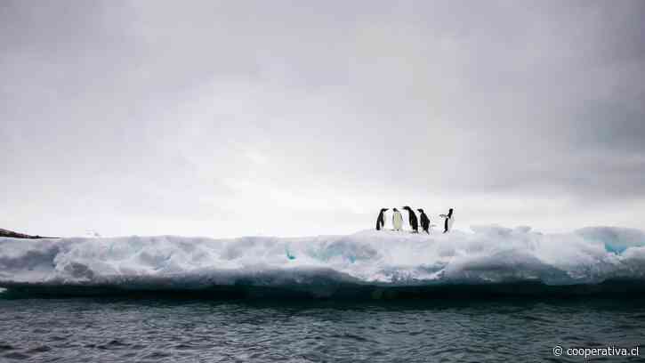 Expedición científica busca fugas de metano en la Antártica