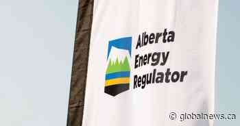 Study suggests Alberta Energy Regulator lacks evidence for tailings spill cleanup claims